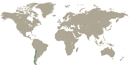 Situation géographique du Chili